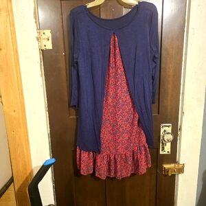 Adorable 1 piece dress/top